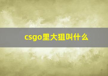 csgo里大狙叫什么