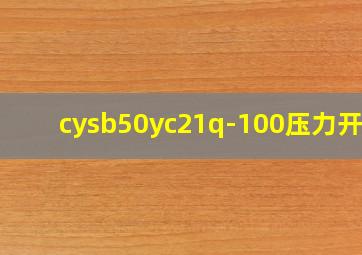 cysb50yc21q-100压力开关