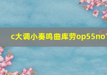 c大调小奏鸣曲库劳op55no1