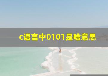 c语言中0101是啥意思