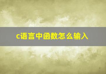 c语言中函数怎么输入