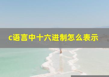 c语言中十六进制怎么表示