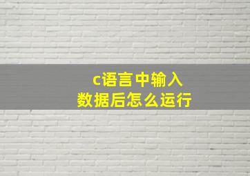 c语言中输入数据后怎么运行