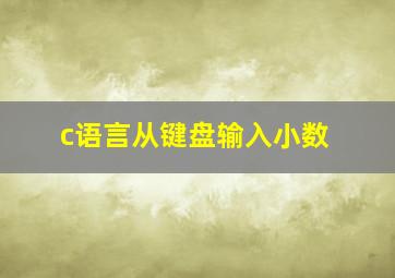 c语言从键盘输入小数