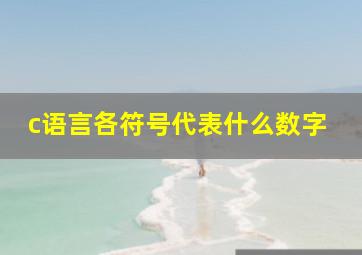 c语言各符号代表什么数字