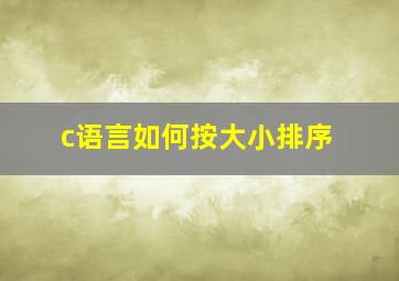 c语言如何按大小排序