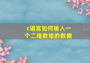 c语言如何输入一个二维数组的数据