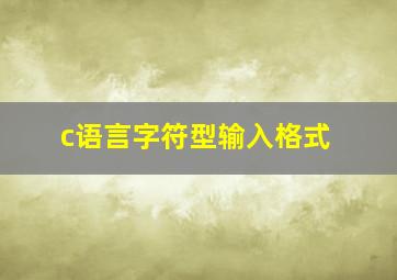 c语言字符型输入格式