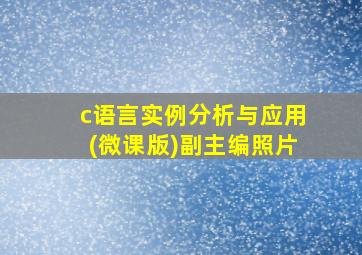 c语言实例分析与应用(微课版)副主编照片