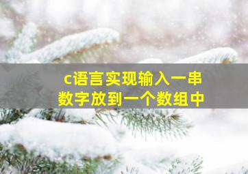 c语言实现输入一串数字放到一个数组中