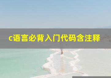 c语言必背入门代码含注释