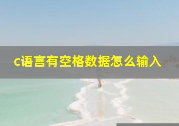 c语言有空格数据怎么输入