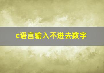 c语言输入不进去数字