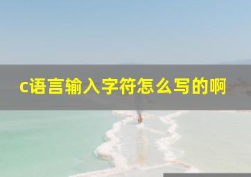 c语言输入字符怎么写的啊