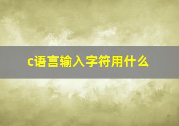 c语言输入字符用什么