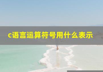 c语言运算符号用什么表示