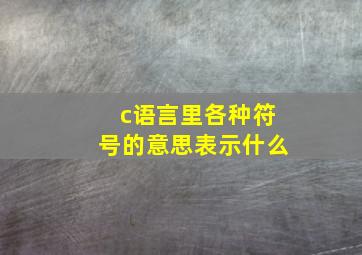 c语言里各种符号的意思表示什么