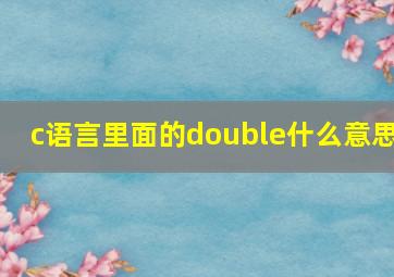 c语言里面的double什么意思