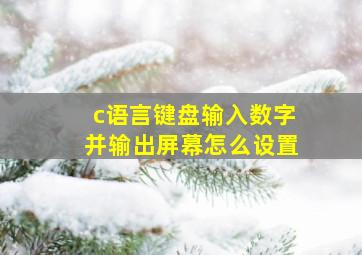 c语言键盘输入数字并输出屏幕怎么设置