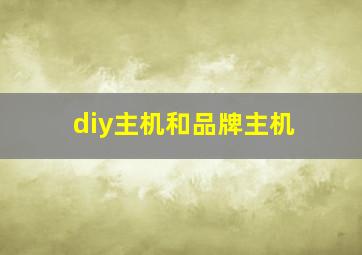 diy主机和品牌主机