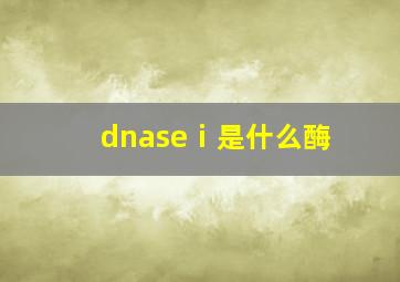 dnaseⅰ是什么酶