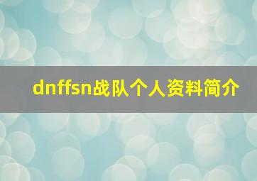 dnffsn战队个人资料简介