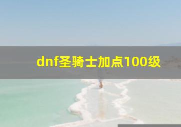 dnf圣骑士加点100级