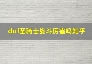 dnf圣骑士战斗厉害吗知乎