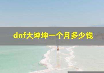 dnf大坤坤一个月多少钱