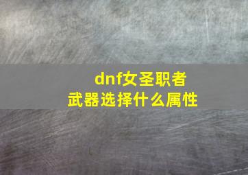 dnf女圣职者武器选择什么属性