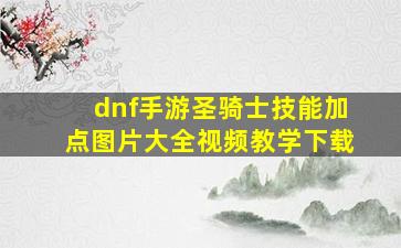 dnf手游圣骑士技能加点图片大全视频教学下载