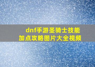 dnf手游圣骑士技能加点攻略图片大全视频