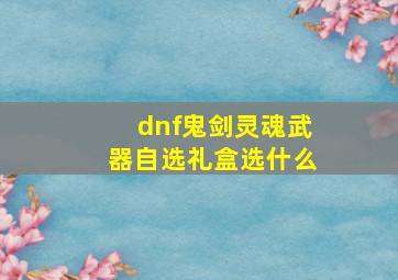 dnf鬼剑灵魂武器自选礼盒选什么