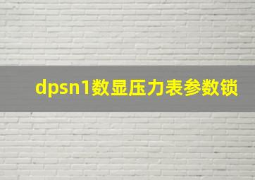 dpsn1数显压力表参数锁