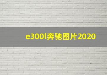 e300l奔驰图片2020