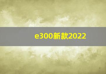 e300新款2022