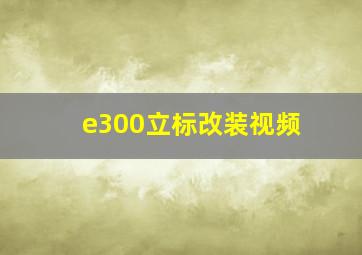 e300立标改装视频