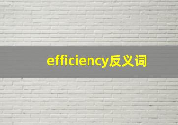 efficiency反义词