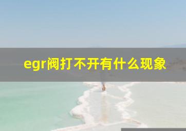 egr阀打不开有什么现象