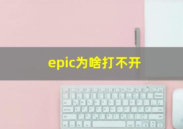 epic为啥打不开