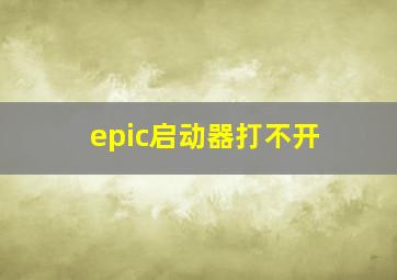 epic启动器打不开