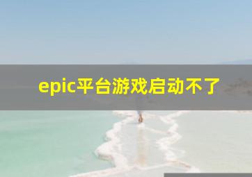 epic平台游戏启动不了