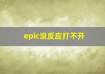 epic没反应打不开