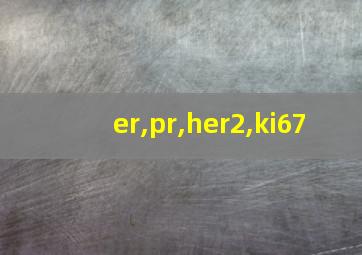 er,pr,her2,ki67