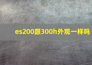 es200跟300h外观一样吗