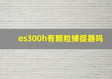 es300h有颗粒捕捉器吗