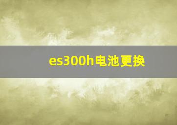 es300h电池更换