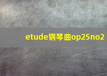 etude钢琴曲op25no2