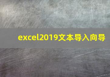 excel2019文本导入向导