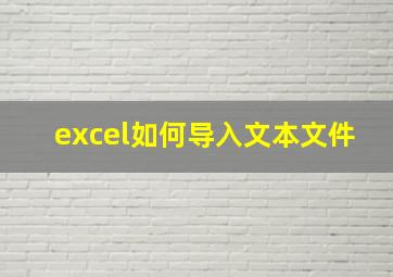 excel如何导入文本文件